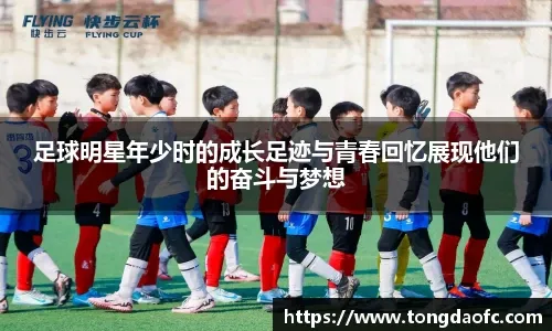 《星之卡比：空中骑士》更新发布 追加在线模式等